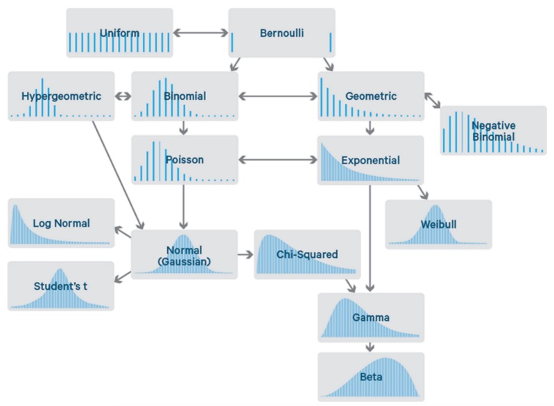 Overview of Common Distributions