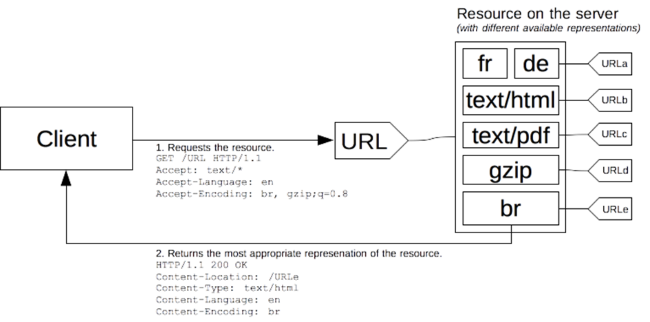 MIME Media Types